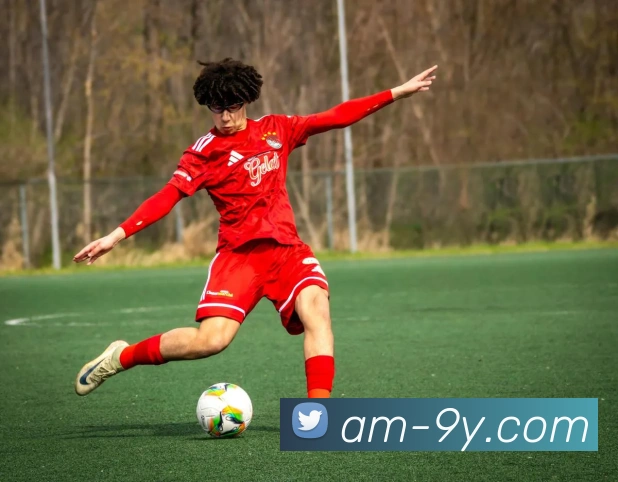 九游官网平台生态图